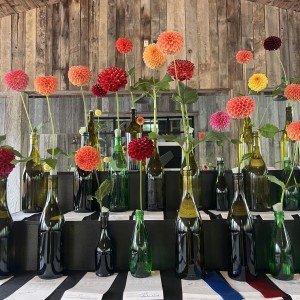 Single Bloom Competition 4